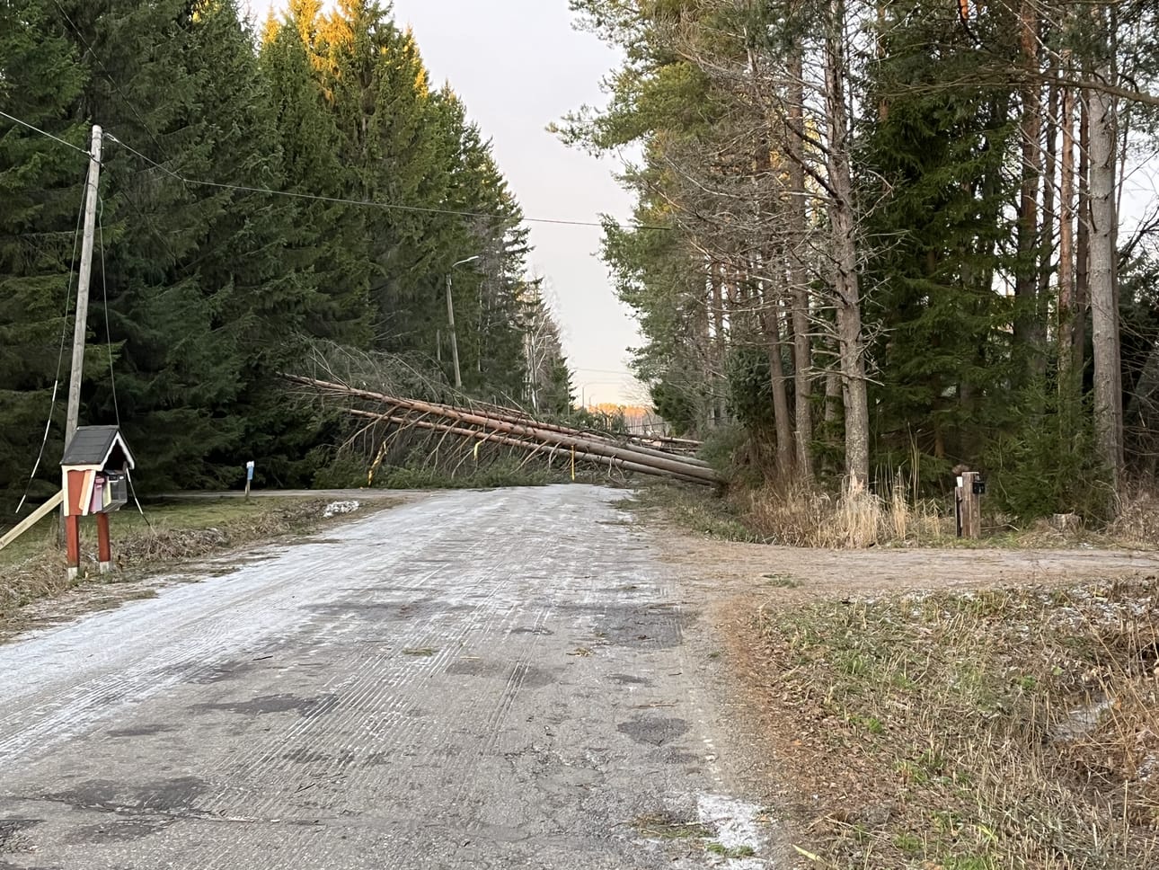 Kaatuneet puut ovat aiheuttaneet vahinkoa ympäri Suomea. Kuva Raahesta lauantailta.