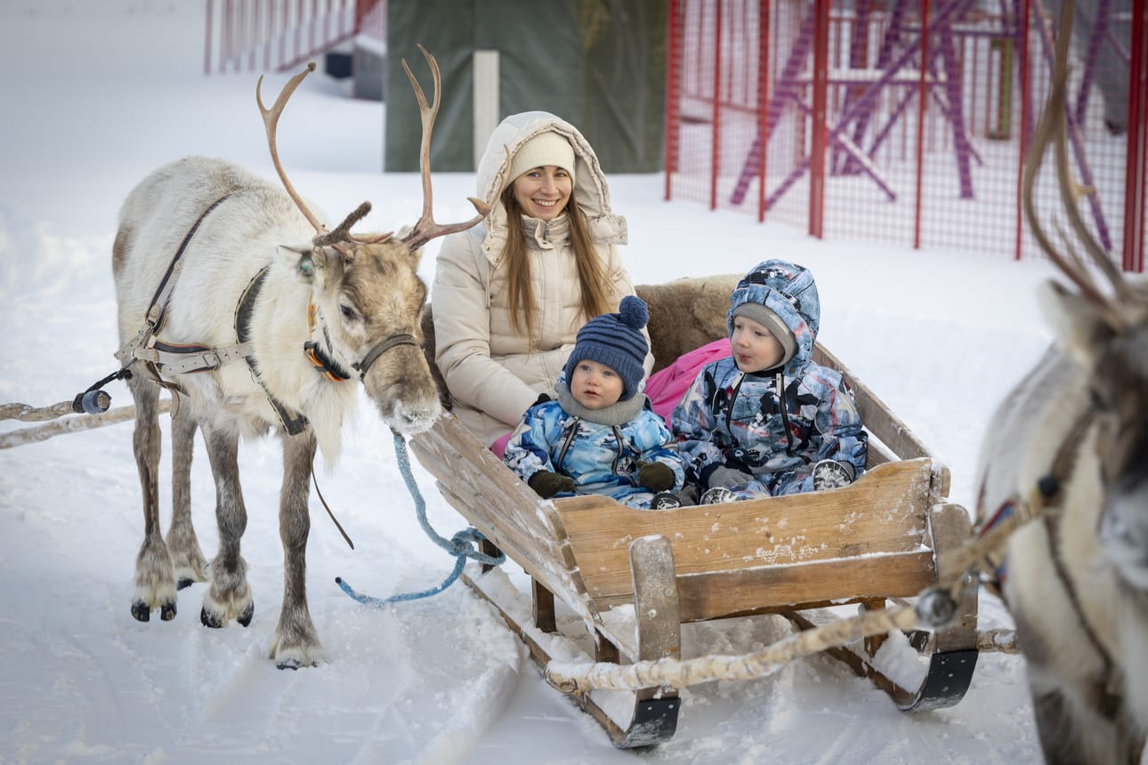 Ekaterina, Leo ja Niko Melkonian nautiskelivat porojen tarjoamasta kyydistä antaumuksella.