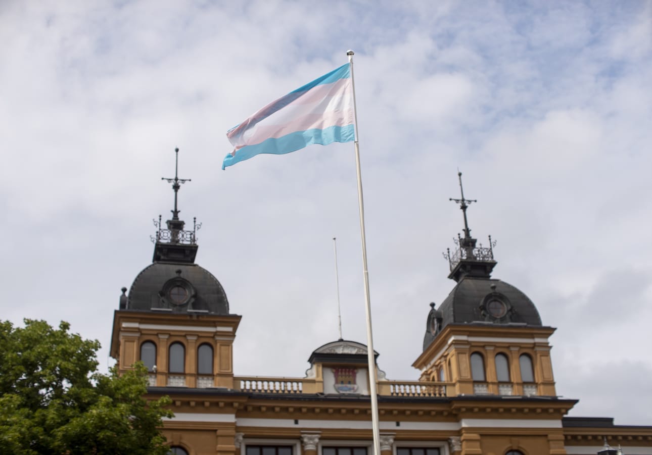 Vain kuvassa näkyvä translippu sai jäädä liehumaan kaupungintalon lipputankoihin.