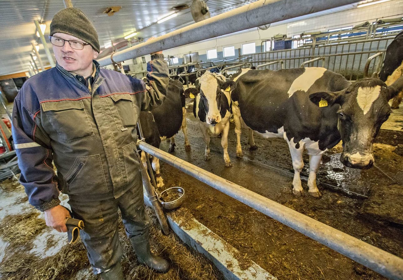 "Tutuiksi tullaan lypsyasemalla" oli otsikkona Satunnaisen Suomen 46. osalla. Se vei toimittaja Hanna Kuonanojan ja kuvaaja Jukka-Pekka Moilasen Vaalan Pelsoon. Siellä Pekka Maaninka ei muistanut maitotilansa navetan asukkien nimiä, mutta kissa oli nimeltään Surku. "Sen emä oli vähän huono hoitamaan pentujaan. Surku ja Harmi jäivät, mutta Harmi on lähtenyt omille teilleen jo aikoja sitten", Maaninka kertoi.