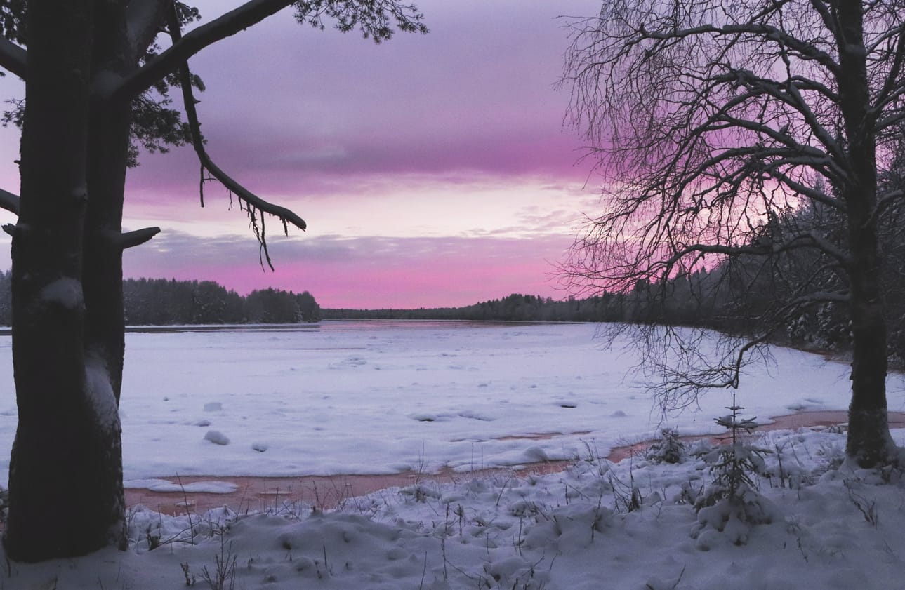 Aamurusko Kipinässä.