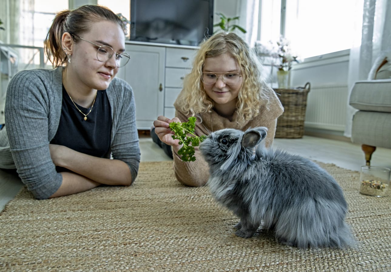 Jenina Holappa ja Iida Järvelä majoittavat avoimin mielin monenlaisia lemmikkejä.