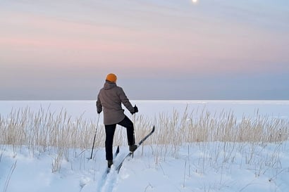 Tauvon talvilinnut lasketaan kolmesti talvessa – Ari-Pekka Auvinen kiertänyt reittiä kohta 20 vuotta