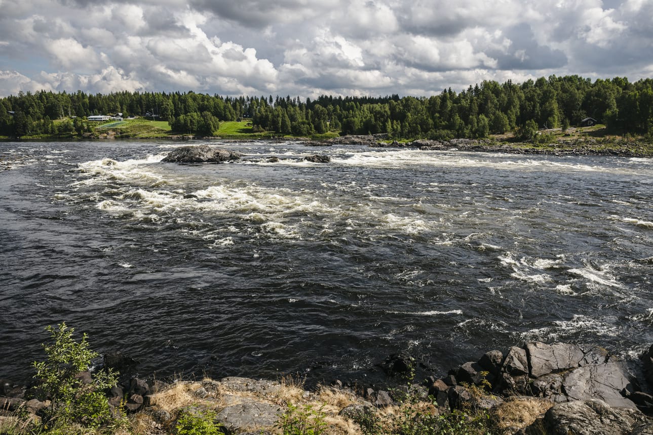 Maa- ja metsätalousministeriö on pyytänyt lausunnot Tornionjoen kalastusäännöstä ensi kautta varten. Kuva on otettu Matkakosken Ruotsin puolelta kesällä 2025.