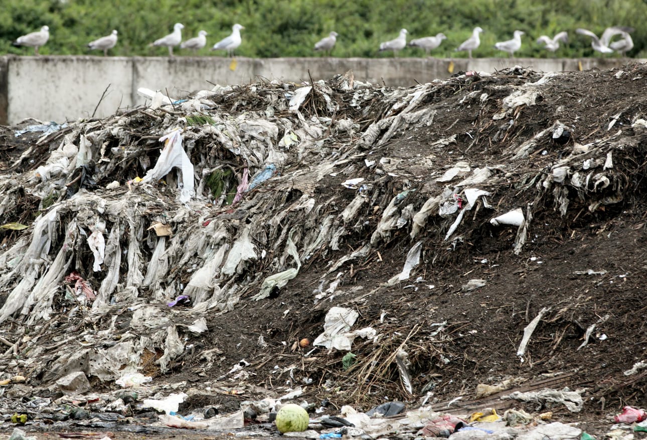 Uudessa biokaasulaitoksessa biojäte mädätetään kompostoinnin sijaan. Kuvassa Oulun Jätehuollon biojätekasoja.