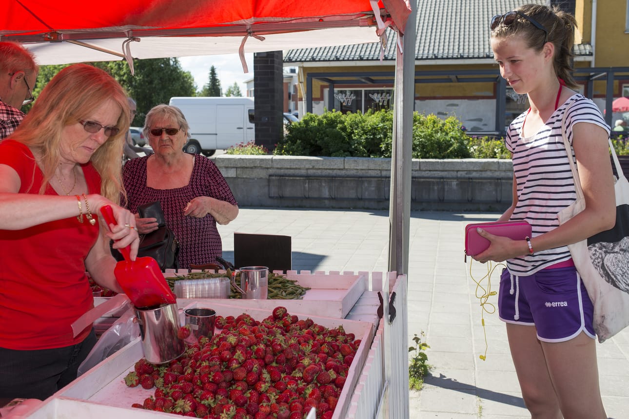 Kuusamon torilla meni maanantaina ja tiistaina kaupaksi niin paljon mansikkaa, kuin tiloilta sai myytäväksi. Suvi-Tuulia Ojala osti Raija Veteläiseltä kesän ensimmäisen mansikka-annoksensa.