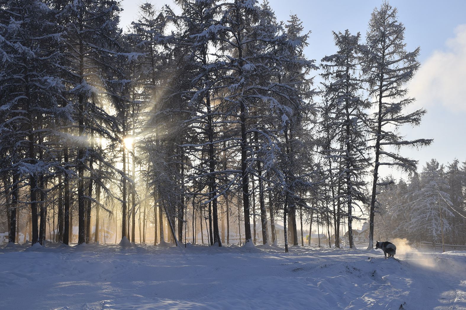 <p>Jakutian talvi on äärimmäisen kaunis. Ylleensä sää on tyyni ja selkeä.</p>