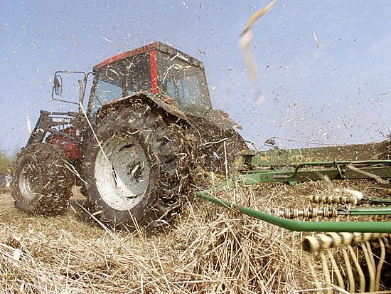 Ylen mukaan Vapo sai vuonna 2004 Suomen suurimpia maataloustukia ruokohelpipelloilleen.