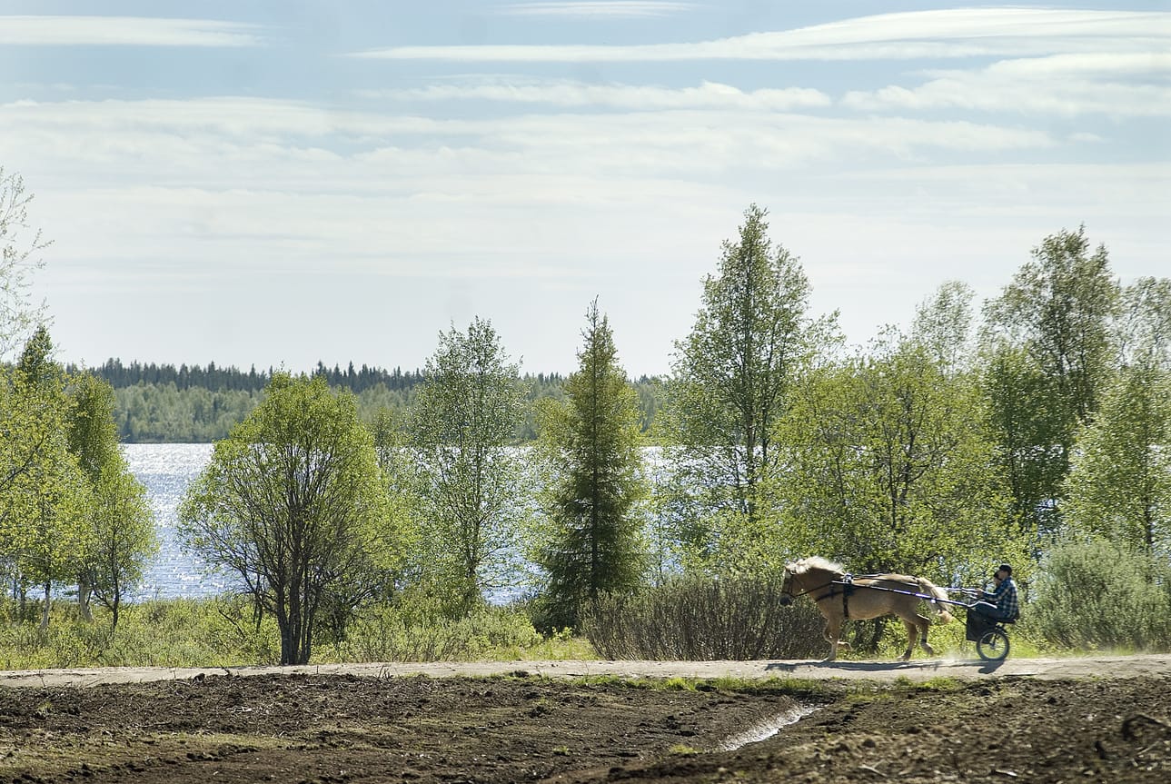 Uusi hallitus haluaa eroon kuntarajoista, jotka perustuvat sadan vuoden takaiseen hevosella tehtyihin kirkkomatkoihin.