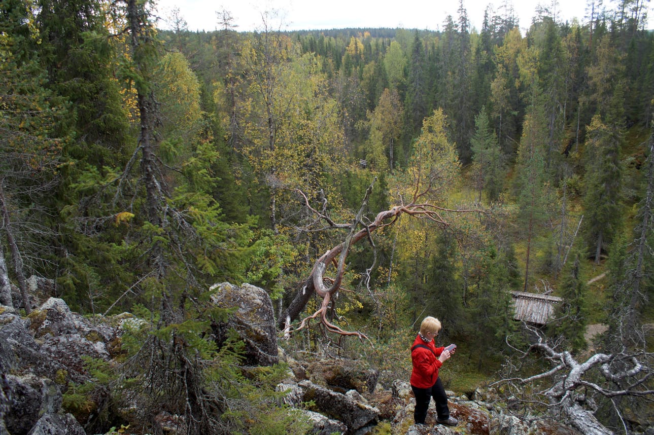 Syötteen Vattukurussa on näkyvissä jääkauden purkautumisvesien valtava voima. Pakkasrapautuminen jatkuu ja muokkaa edelleen kurun jyrkkiä rinteitä.
