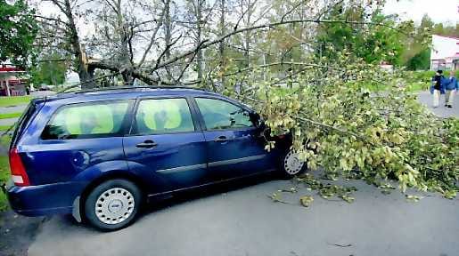 Kova tuuli kaatoi Höyhtyällä poppelin henkilöauton päälle.