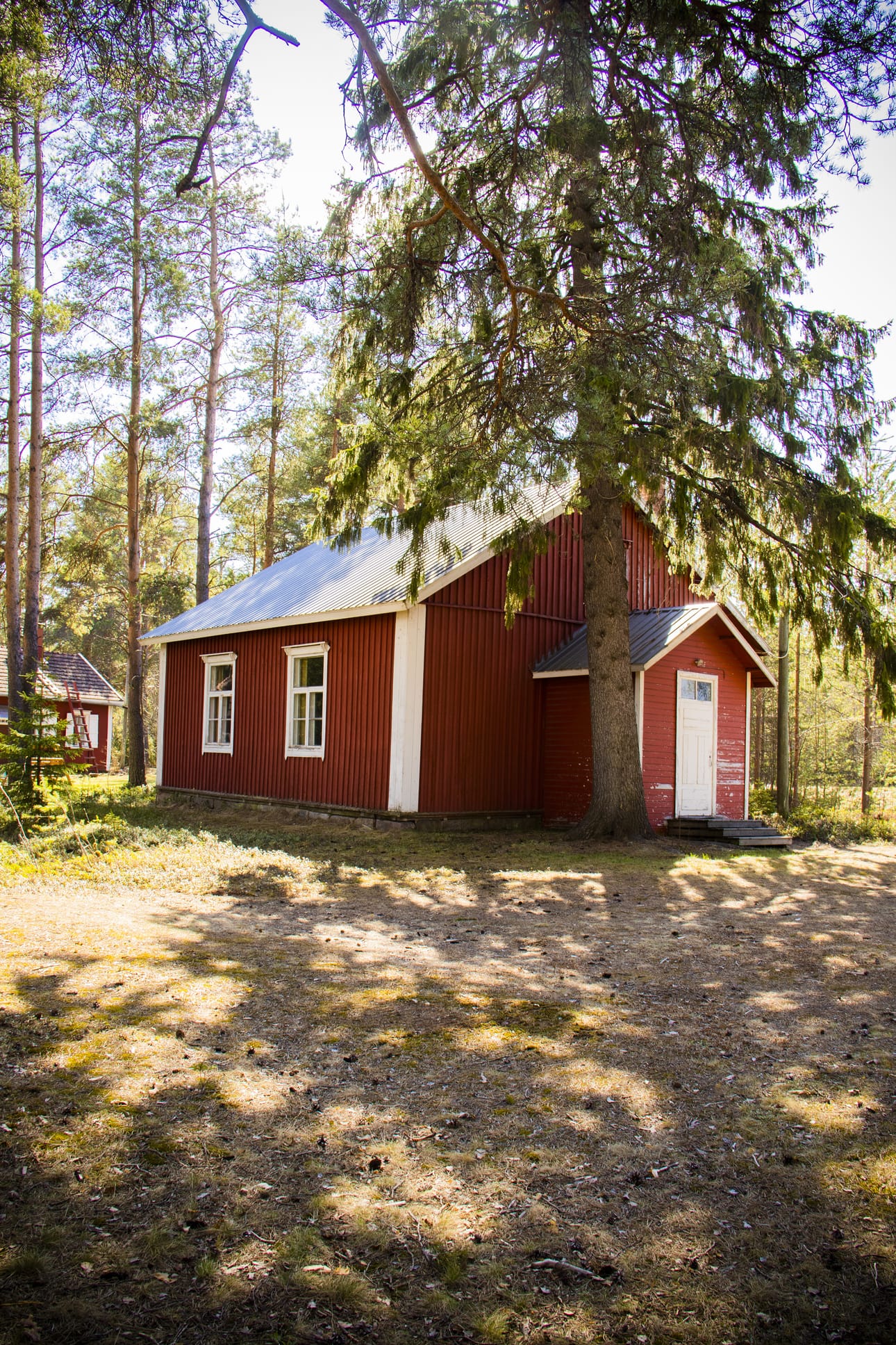 Murron rukoushuone on komean kuusen katveessa.