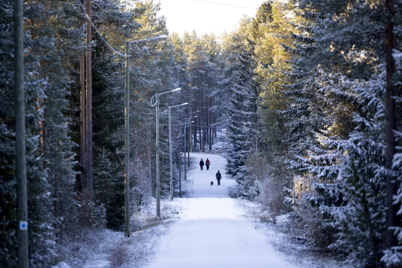 Lunta tulee lähipäivinä reippaasti lisää, ja se pysyy.