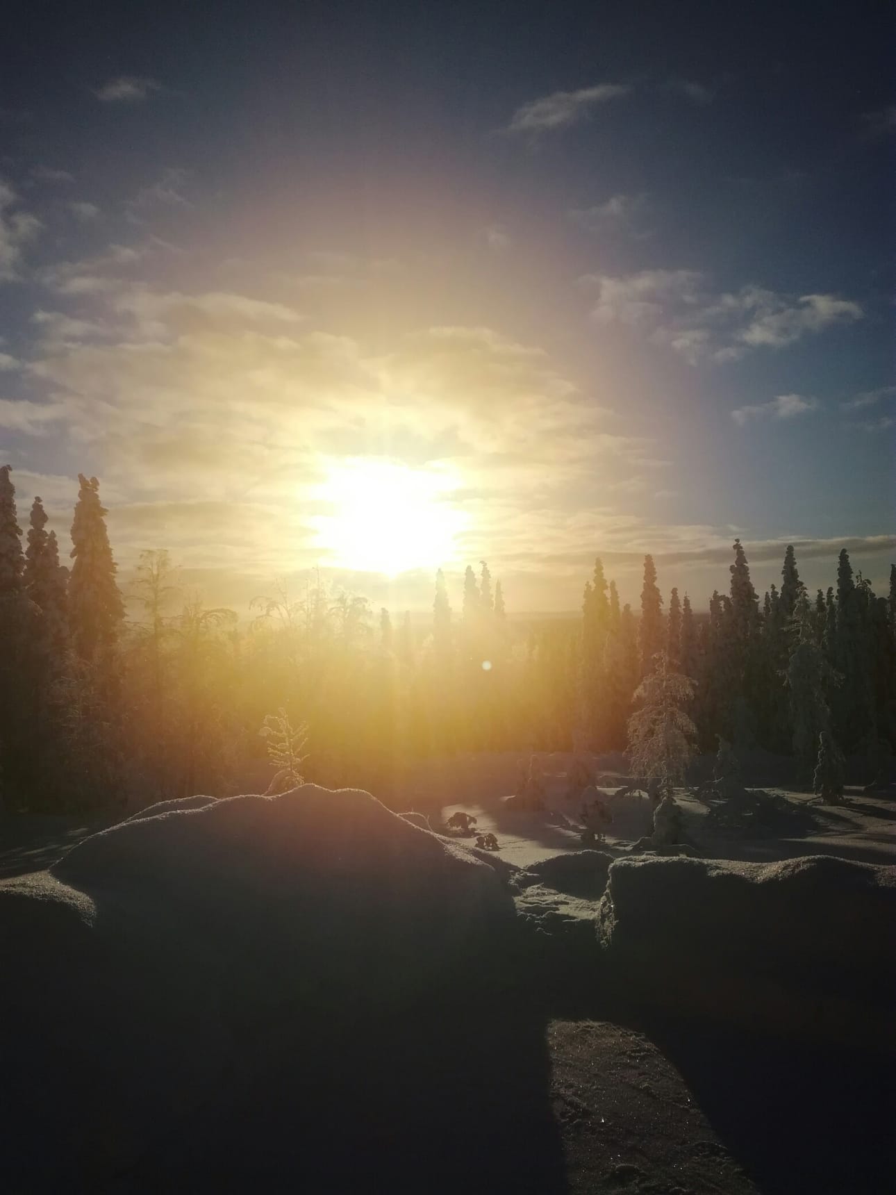Pakkasaamun aurinko