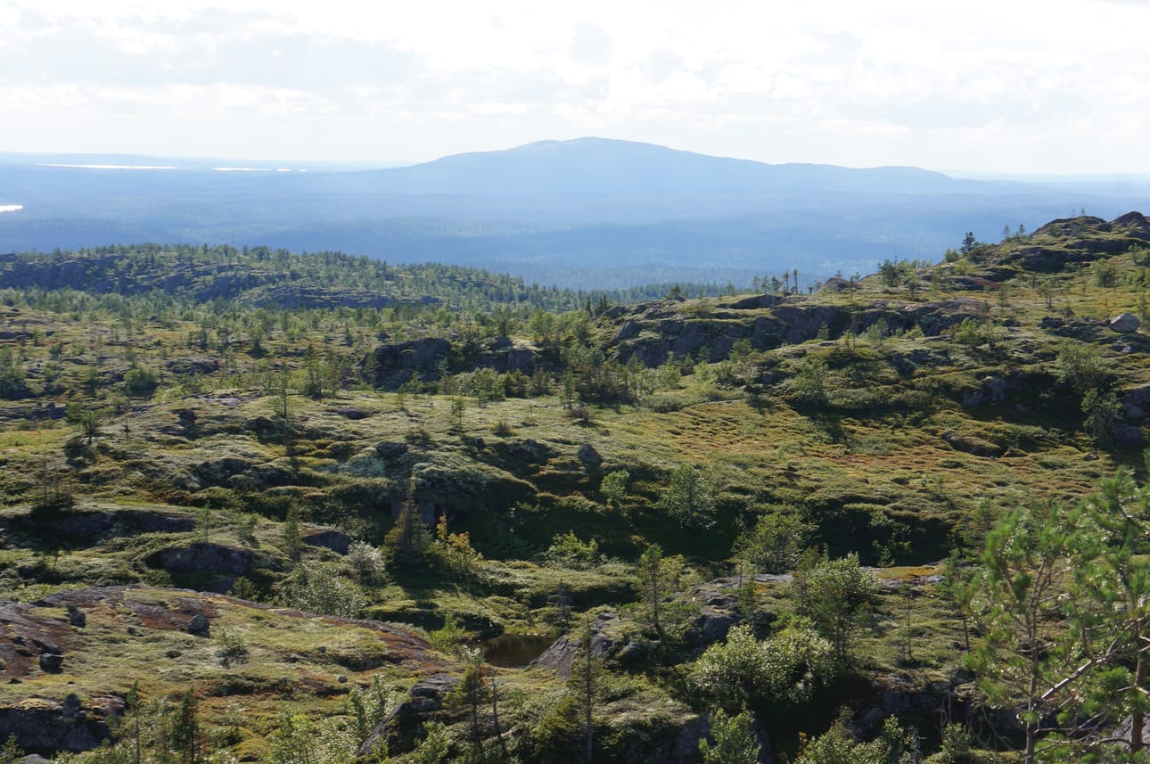 Paanajärven kansallispuistossa on Jokke Kämäräisen mukaan todellista erämaata. Kävijöitä puistossa on selvästi vähemmän kuin Suomen puolella olevassa Oulangan kansallispuistossa.