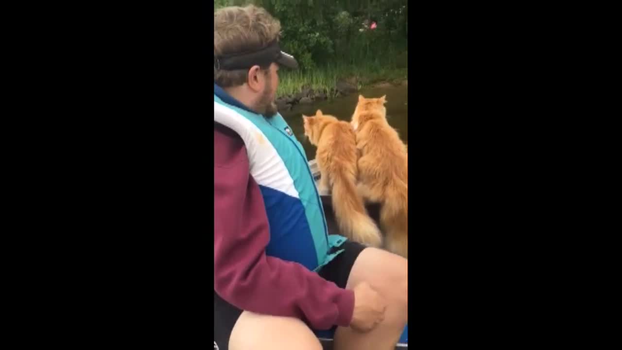 Lukijan video