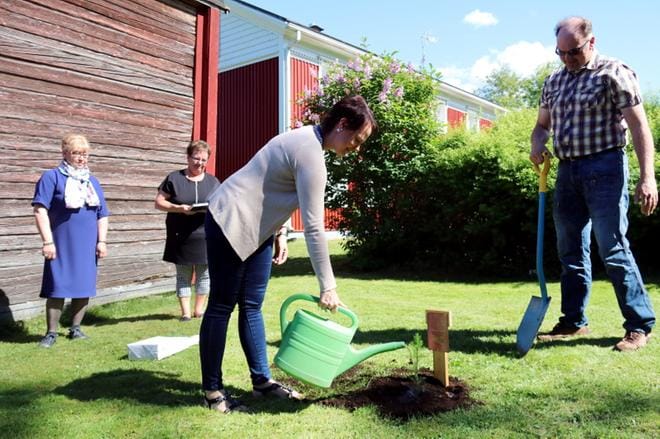 Härmä-Seuran puheenjohtaja Maria-Terttu Hautanen-Jokela ja Härmälääset Häjyylyt ry:n puheenjohtaja Sisko Poltto seurasivat etäältä, kun Knuuttilassa asuvat Tiina Knuuttila-Puiras ja Mika Kaappola istuttivat juhlavuoden kuusen Alahärmän kotiseututalon nurmikolle.