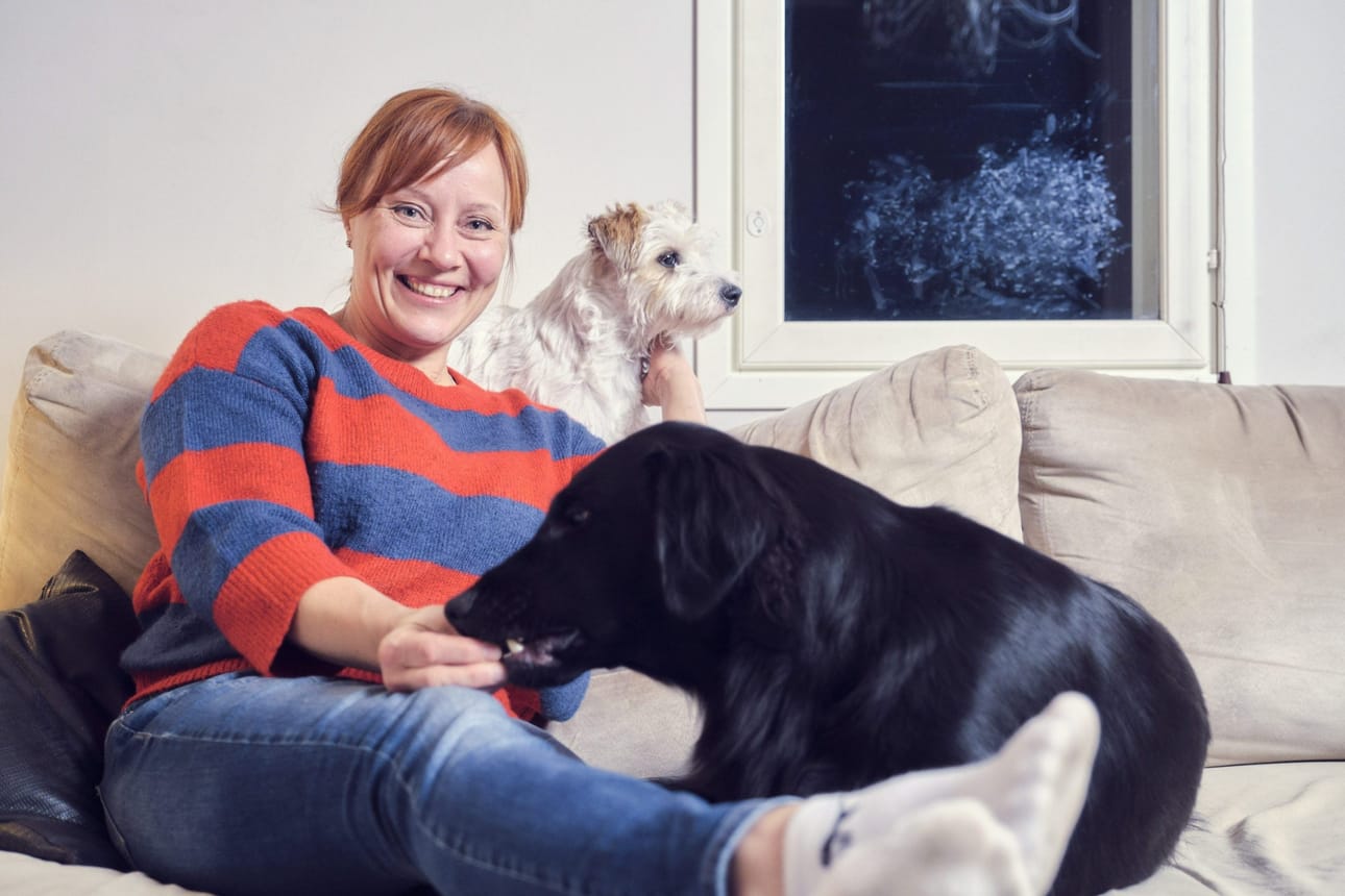 Kun perheen lapset alkavat itsenäistyä omilleen, huushollissa pitävät jöötä koirat, sileäkarvainen noutaja Viki (etualalla) ja jackrussellinterrieri Lili. "Koirat hoitavat meitä, ei päinvastoin", Tuuli Matinsalo naurahtaa.