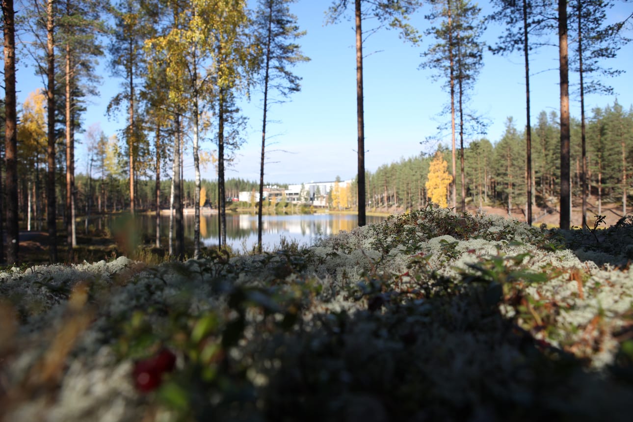 Rokua Geoparkista tulee yksi Unescon kohteista.