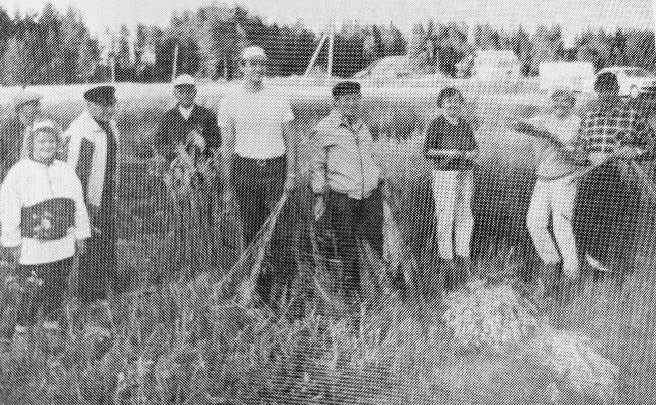 Näytösluonteisten kauratalkoiden tulokset; kymmenkunta lyhdettä menevät Metsäkylän pikkulintujen hyvinvoinnin hyväksi.