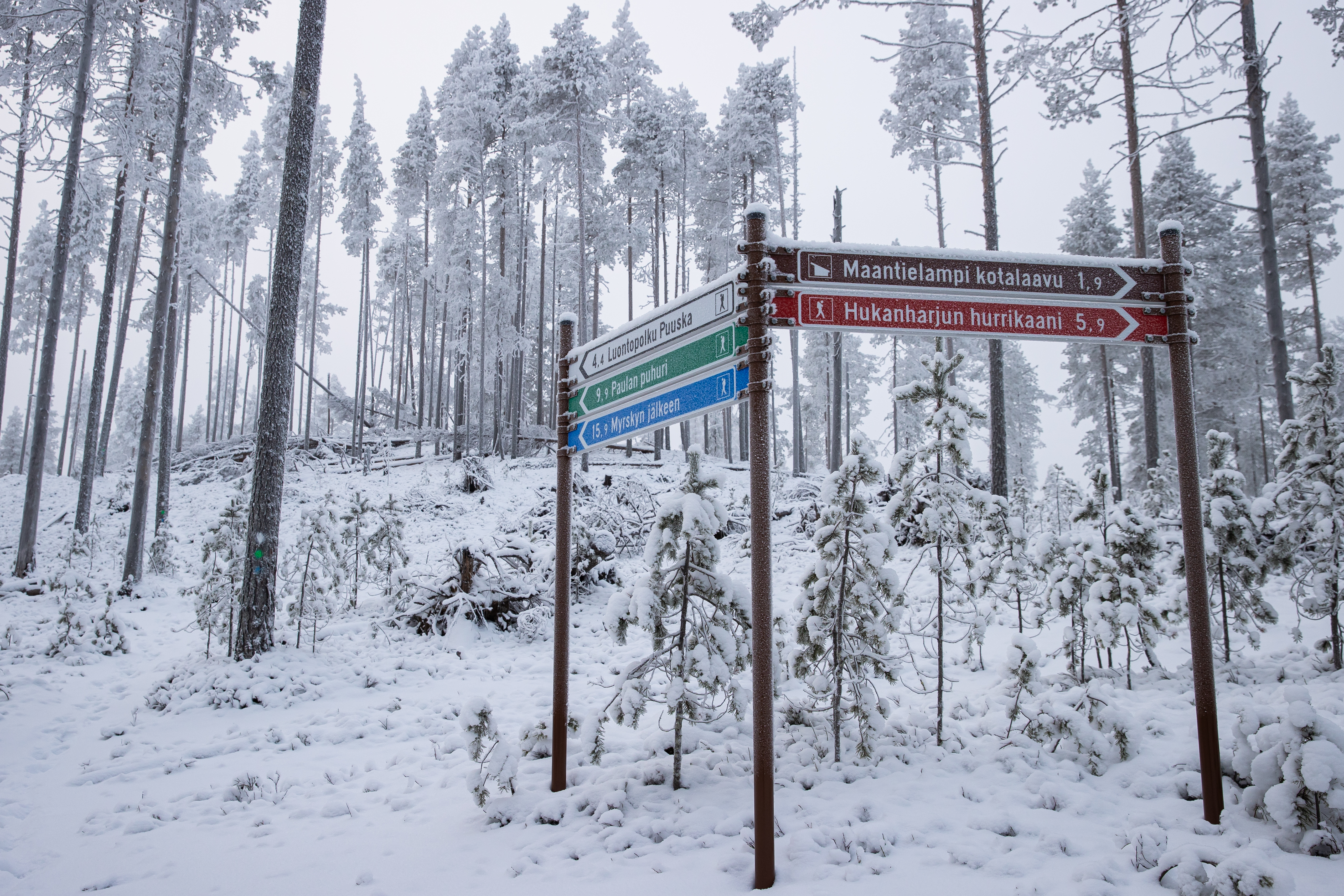 Kylmäluoman retkeilyalueen reitit piti uusia Paula-myrskyn jälkeen. Upouusissa opasteissa ne on nimetty myrskyn mukaan.