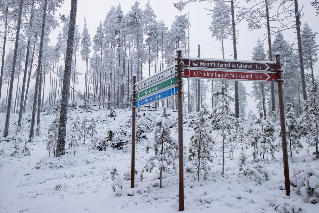 Kylmäluoman retkeilyalueen reitit piti uusia Paula-myrskyn jälkeen. Upouusissa opasteissa ne on nimetty myrskyn mukaan.