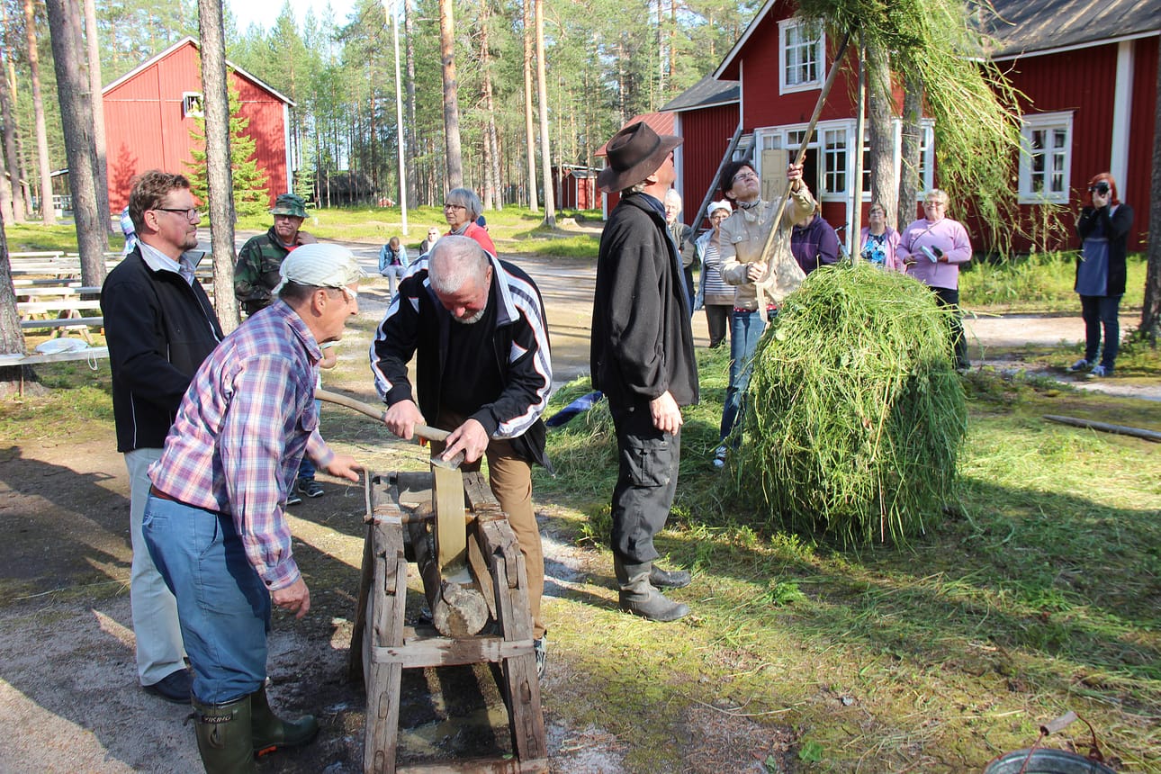 Myös yleisö pääsi koittamaan Seppo Sankalan pyörittämää tahkoa. Nykykirveiden vertailukohdaksi Reino Haarahiltunen toi Kynkään mökiltään 1960- luvulla savottakirveenä käyttämänsä oikean Bilnäsin. Se teroi käyttökuntoon huomattavasti helpommin. Taustalla vaimo Pirjo pääsi kokeilemaan heinän seivästystä Antti Paavolan valvonnassa.