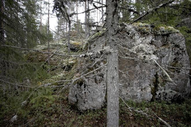 Haveri-Lampila on mielenkiintoisen monimuotoinen metsäalue. Vanhojen metsäalueiden lisäksi se tarjoaa paljon muuta, kuten lammet vesilintuineen. KUVAT: JARI E. HAKALA