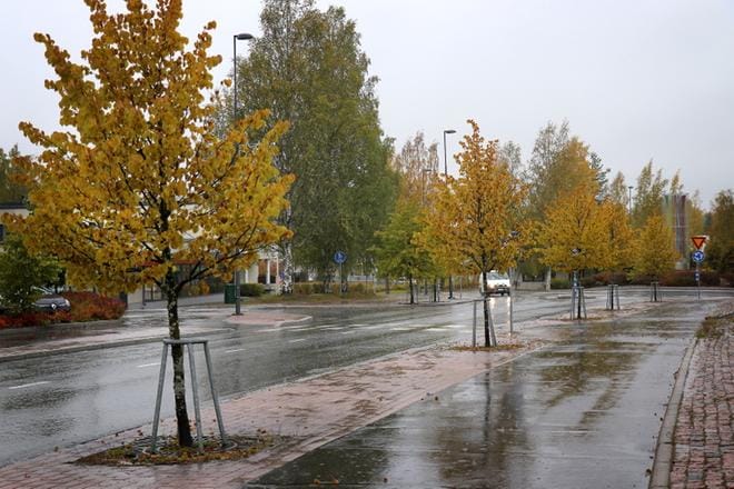 Yhtenä agendana tilaisuudessa on miettiä: ”Millä keinoin yritysten toimintaedellytyksiä voitaisiin parantaa ja näin saada elinvoimaa kaupunkiin?” Arkistokuva: Johanna Kataja