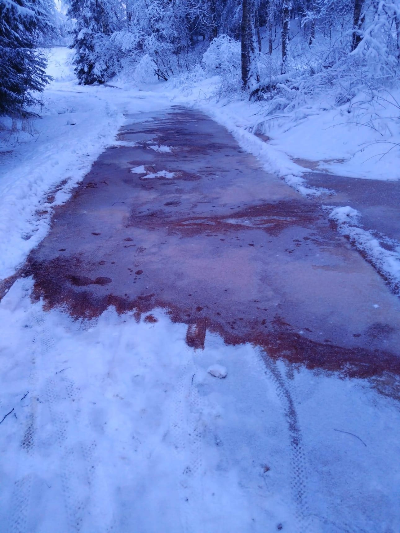 Kalevan lukija lähetti perjantaina 6. helmikuuta kuvan tulvineesta verisestä vedestä. Väylä on tilan piha-alueeseen kuuluva yksityistie, jota on käytetty kulkemiseen.