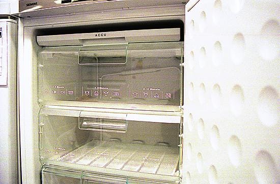 Fortum joutuu korvaamaan sulaneet pakasteet.