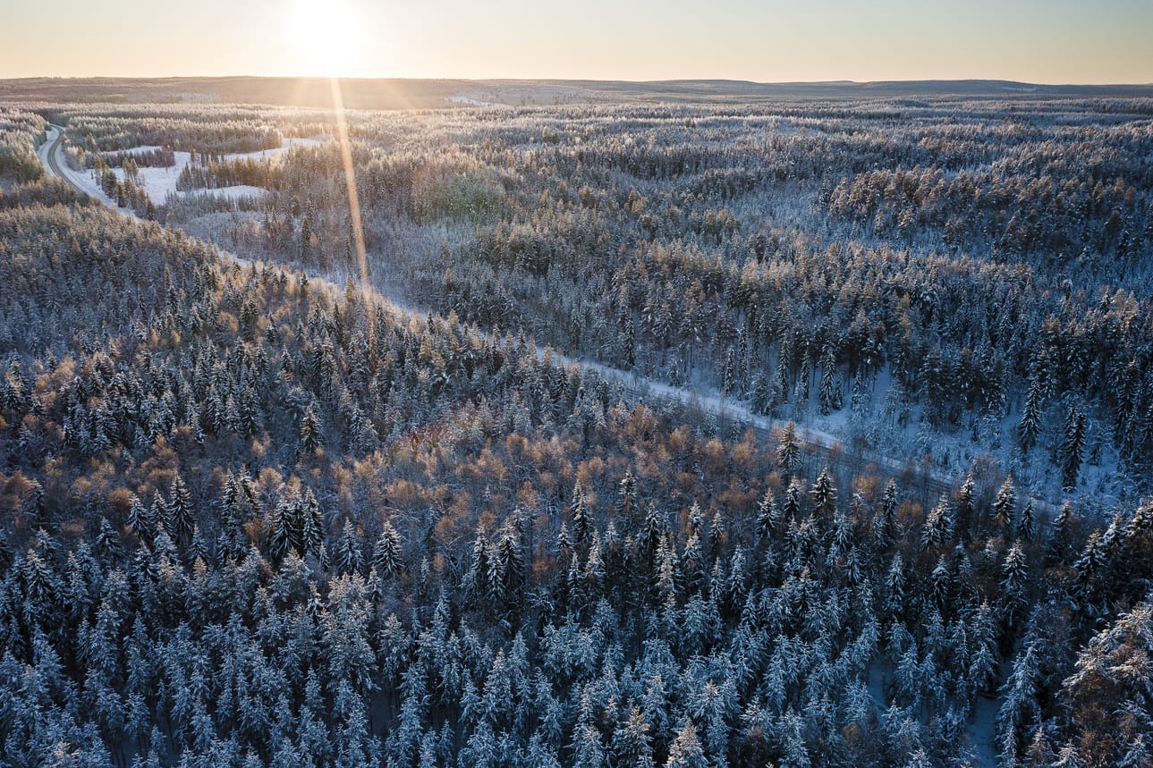 Lämpötilat vaihtelivat Lapissa maaliskuun aikana lauhasta koviin pakkasiin.