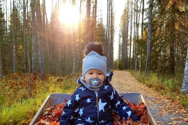 Soinilainen Veeti, 8 kk, osallistui omalla tavallaan pihalla tehtäviin syyspuuhiin. KUVA: PAULIINA PEURA