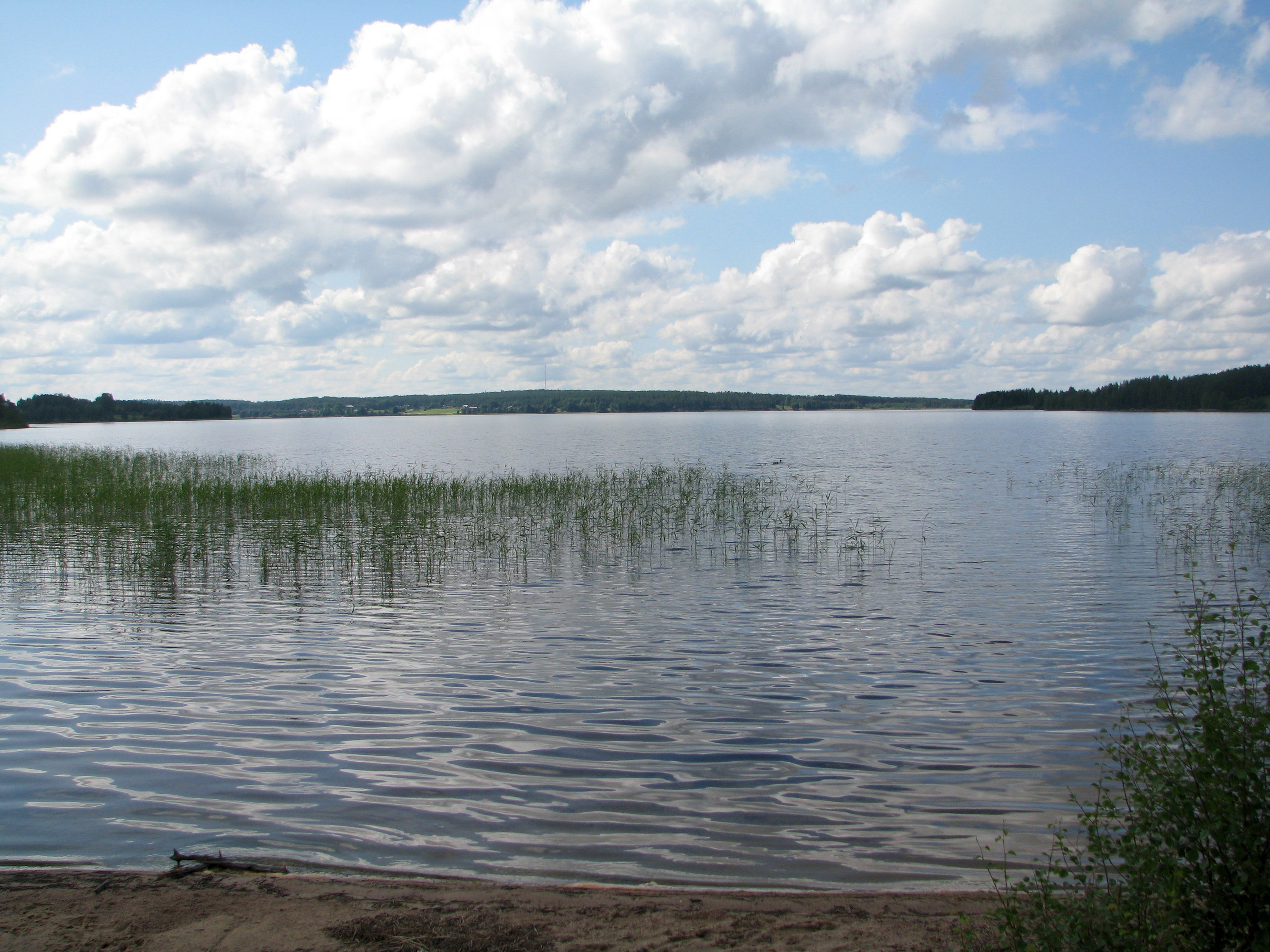 Pintamojärvi-yhdistys kokoontui sittenkin – vuosikokous keskeytyi jo alkuvaiheessa