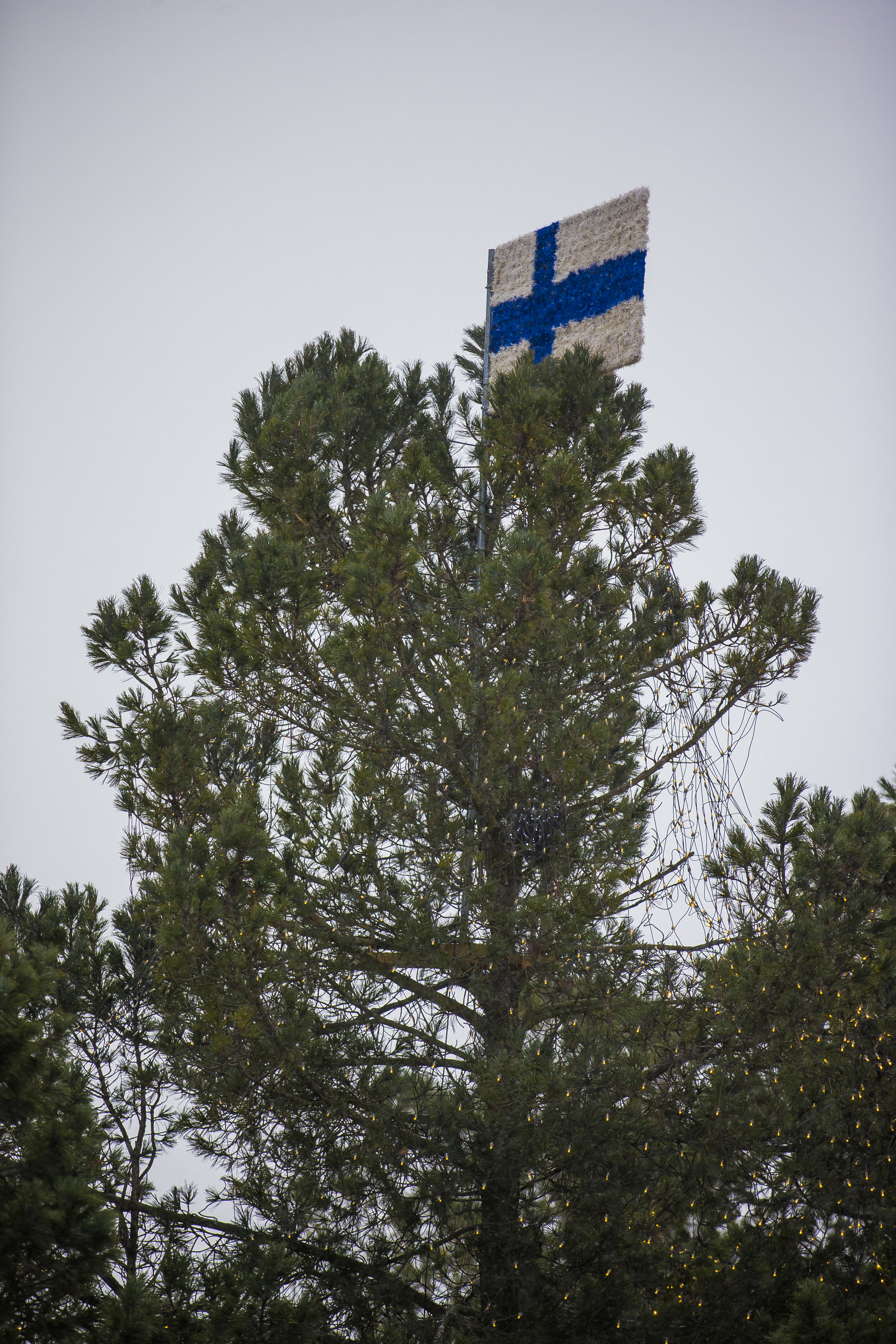 Raahen Energian joulupuu.