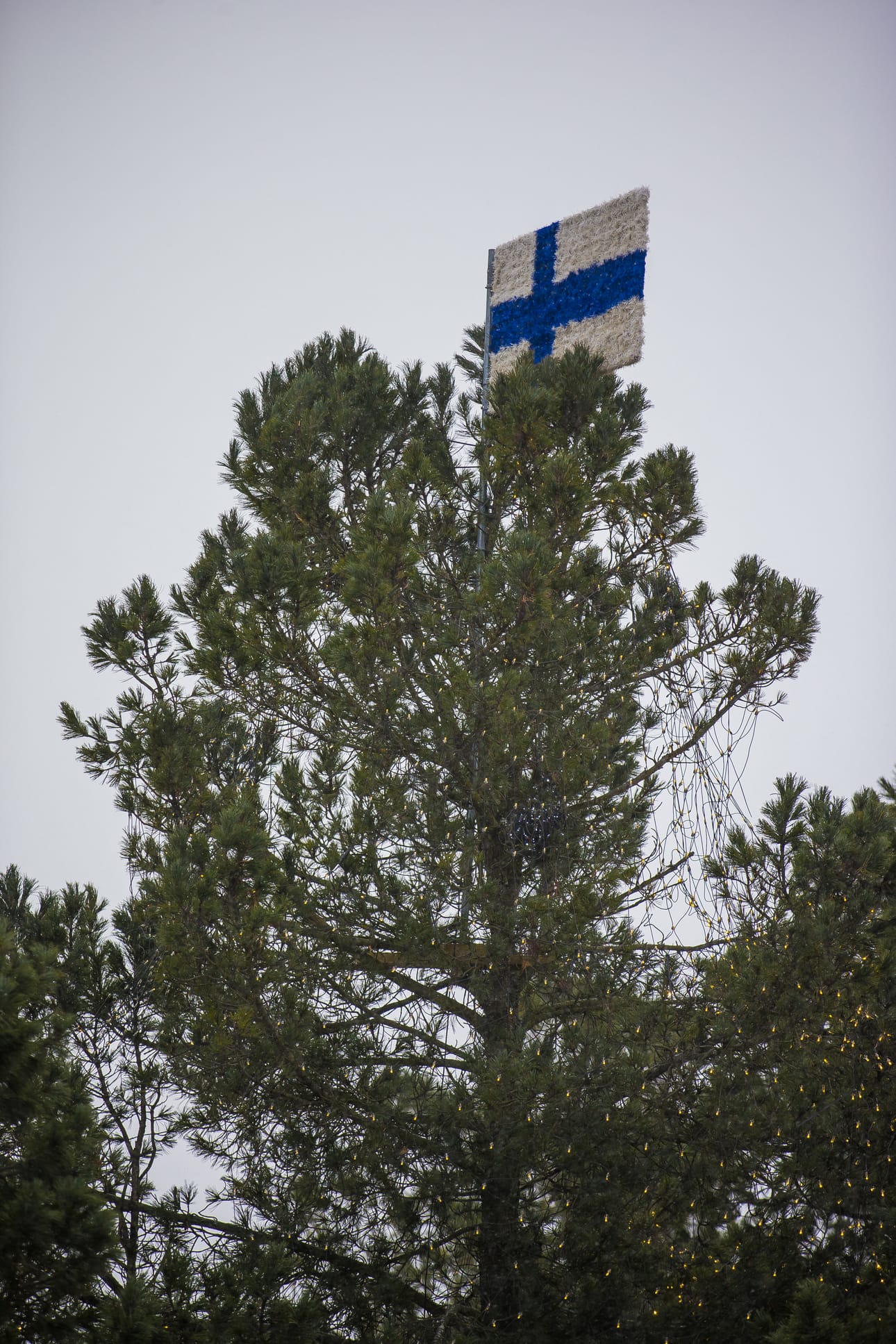 Raahen Energian joulupuu.