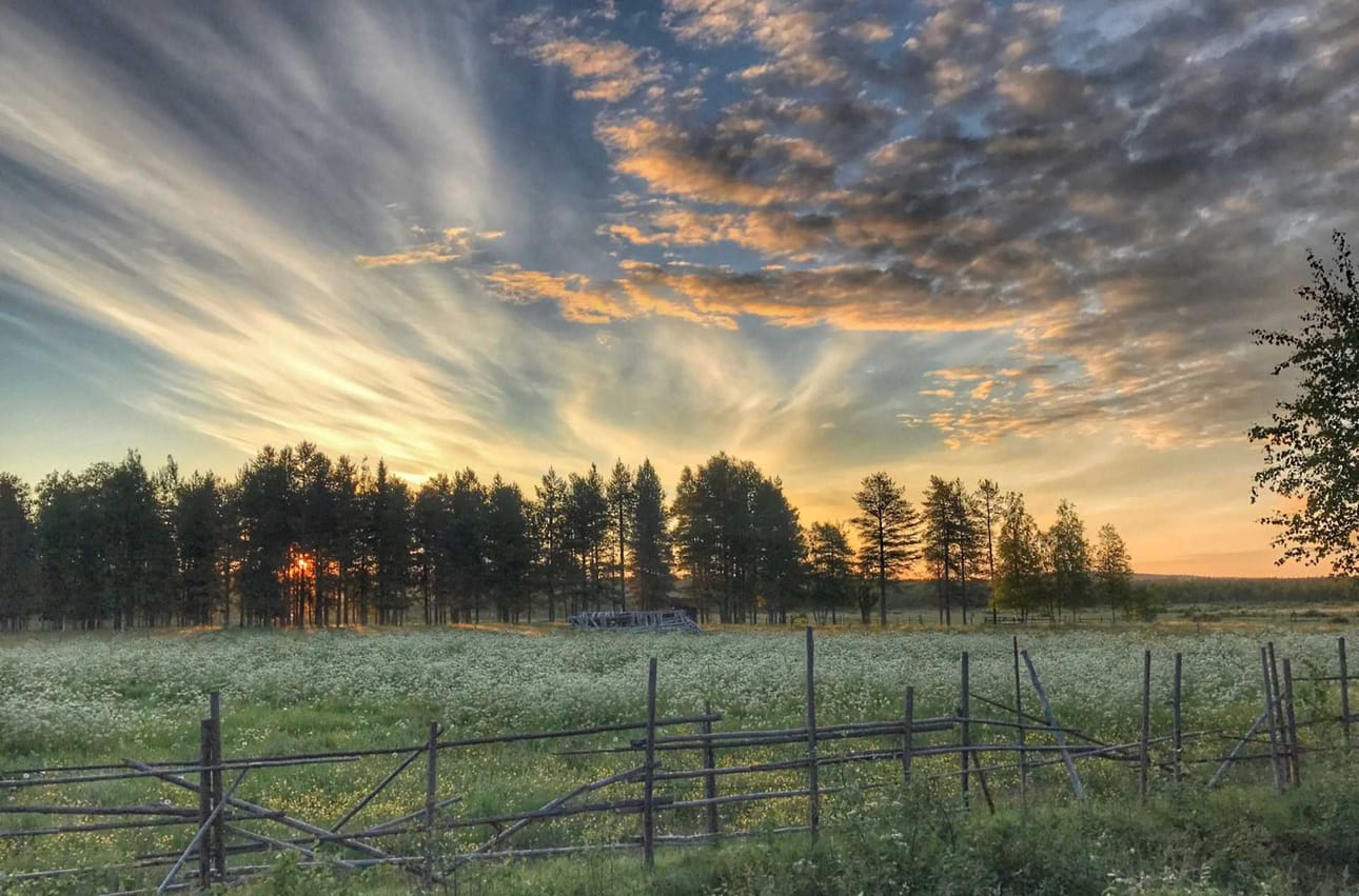 Aamu koittaa. Maaginen maisema löytyi Tiaisesta kello kolmelta aamuyöstä.