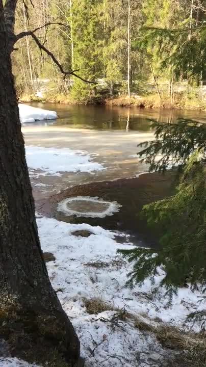 Pyörivä jäämatto Sanginjoessa
