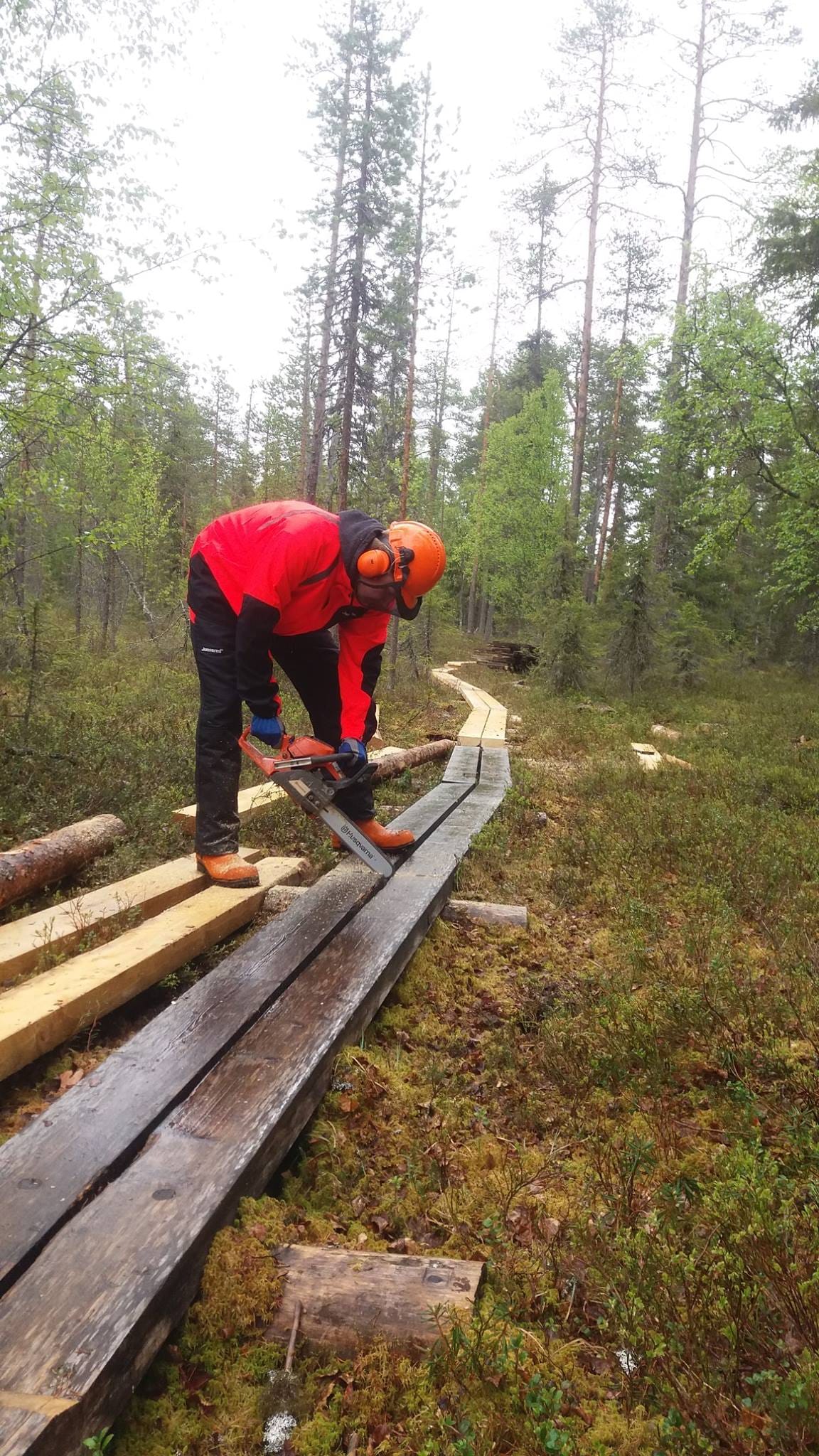 Juuri nyt uusia pitkoksia lahonneiden tilalle vaihdetaan alimmaisen ja ylimmäisen Hiidenlammen kohdalla.