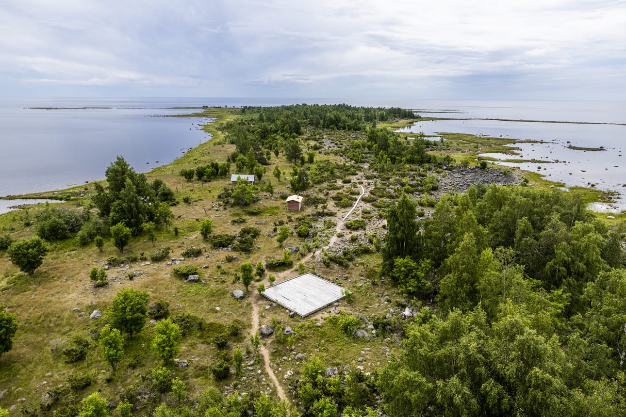 Perämeren kansallispuistossa sijaitsevan Selkä-Sarven saaren lakialueet ovat katajikkoisia nummia tai kitukasvuisia havumetsiä.