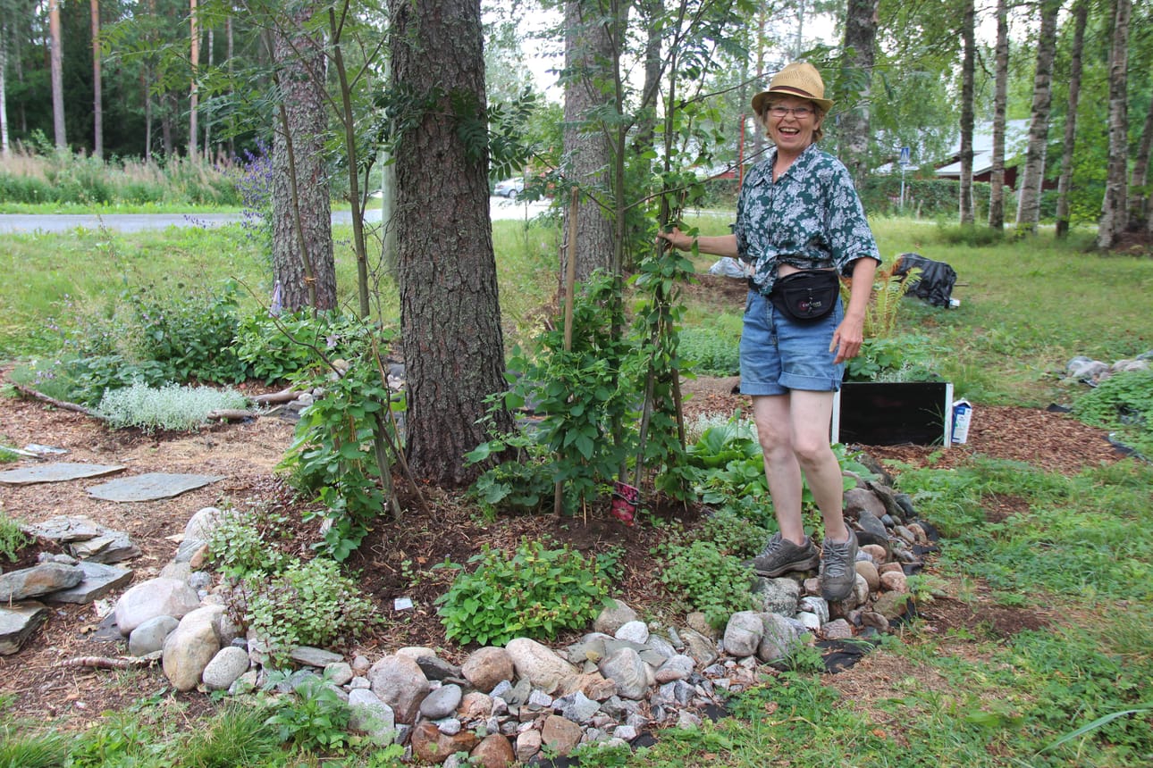 Hilkka Väisäselle on tulossa 16 kilon kuorma hamppukuitukatetta, joka on puutarhaintoilijan mukaan parempaa kuin perinteinen kuorikate. –Minulla on myös matalaa aaltoilevaa muovireunusta, joka suojaa suodatinkankaan. Sen päälle ei tarvitse laittaa paljoa hamppukuitua, ja rikat ei pääse läpi.