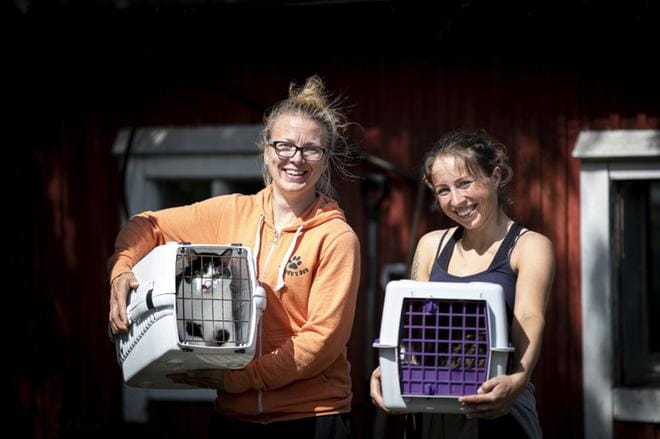 Jenni Liukkonen (vas.) reissasi koiratarhan koppitalkoisiin Helsingistä ja Laura Nisula Nokialta. Koditon maatiaiskissa Kyösti saa kodin Liukkosen luota, ja tuuheaturkkinen Santtu Nisulan kotoa. KUVA: SAMI PELTONIEMI