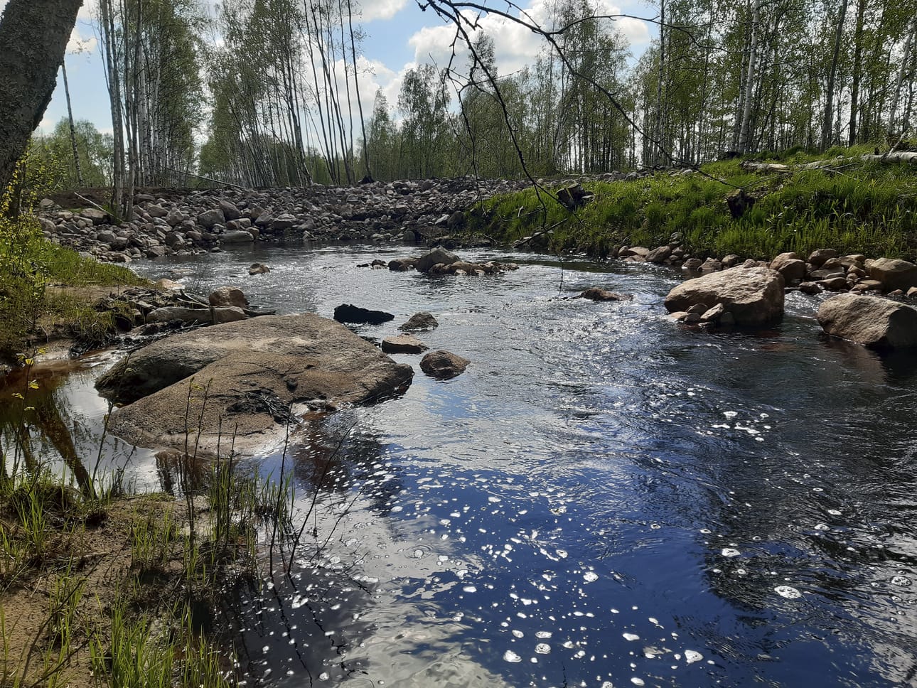 Metsähallitus ennallisti vuonna 2022 Temmesjoen valuma-alueella noin viisi kilometriä jokiuomaa kahdessa kohteessa: Loukkuneva-Isonevan suojelualueella Limingassa sekä Veneneva-Pelson suojelualueella Siikalatvassa.