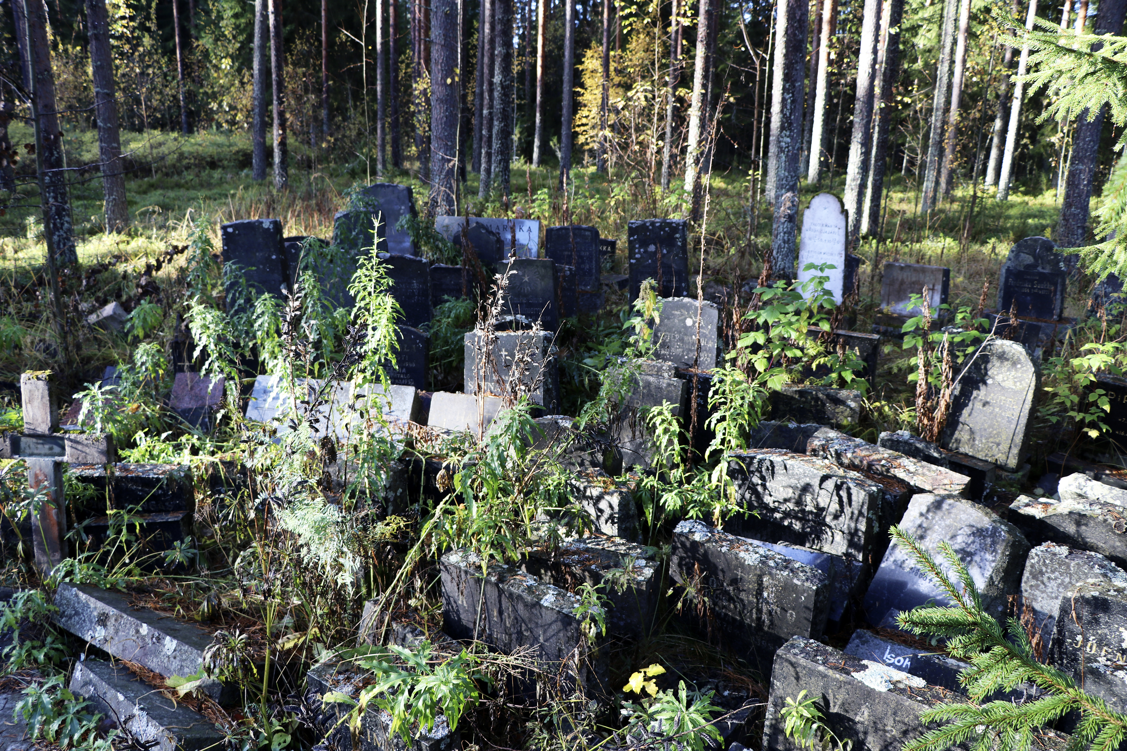 Alajärvellä käytöstä poistettujen hautakivien tarun ei tarvitse päättyä metsän laitaan: "Toivoisin, että niitä käytettäisiin uudelleen"