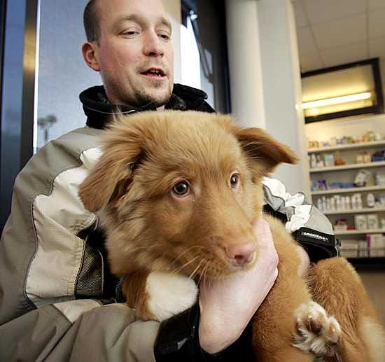 Täit ovat vielä tuntematon vaiva neljän kuukauden ikäiselle novascotiannoutaja Pikulle. "Emme ole vielä käyttäneet Pikua koirapuistoissa, koska kaikkia rokotuksia ei ole annettu. Pitäähän sitä maalaisjärkeä käytää, etteivät pöpöt pääse tarttumaan", Pikun isäntä Tomi Nevanperä kertoo.