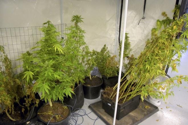 Moni nuori aloittaa kannabiksella ja päätyy amfetamiiniin. ARKISTOKUVA: TAPIO LEHTINEN