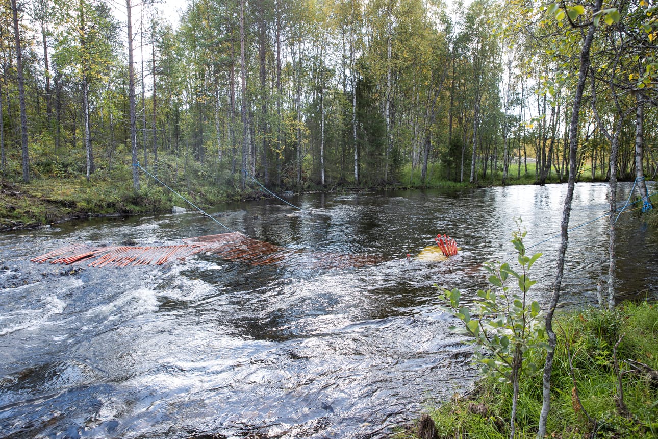 Vuotunkijoen Myllykosken voimalaitoksen takia aikanaan suljettu mutta viime kesänä uudelleen virtaamaan palautettu Piilijoki on tutkimusten kohteena. Miten kalakanta ja muu jokiluonto palautuu? Kuvassa vedessä on tunnelikamera ohjaimineen Piilijoella syyskuussa 2025.