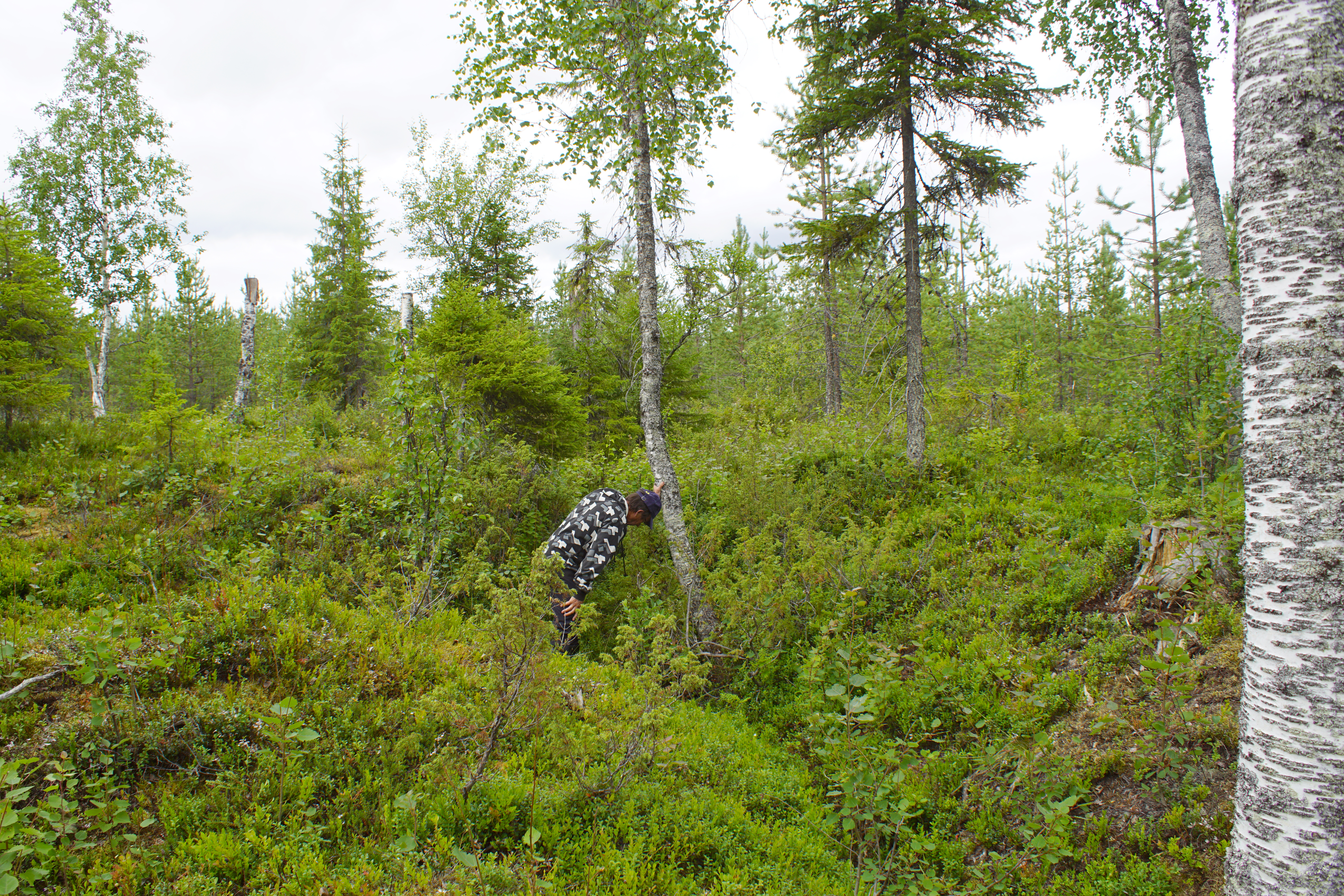 Tervahaudan alapäähän kaivettu halssi näkyy entiajan pienteollisuuden merkeistä selvimmin.