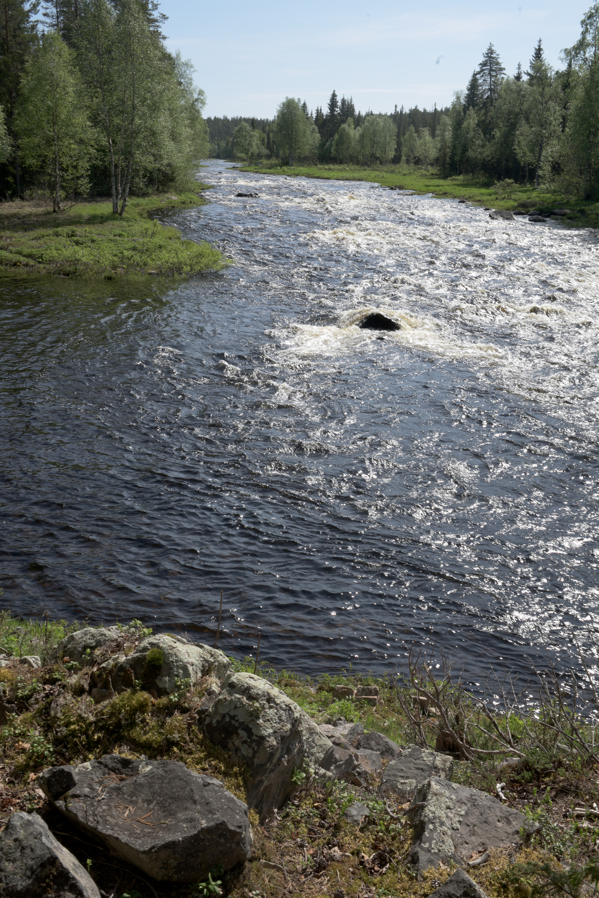 Juumajokisuussa virtasi hyvin vettä kauden avauksen aattona.
