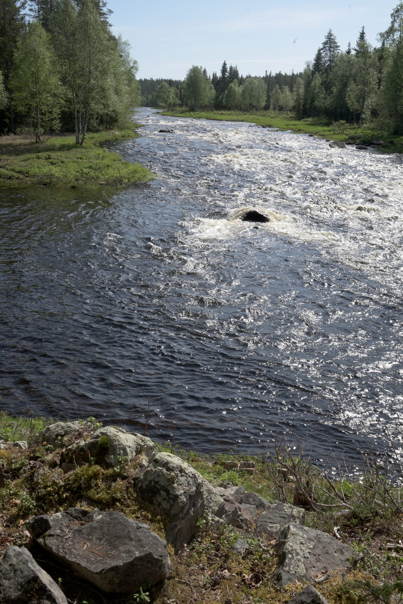 Juumajokisuussa virtasi hyvin vettä kauden avauksen aattona.